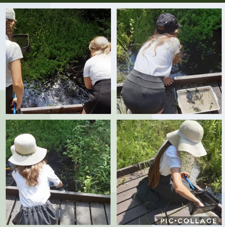 Outdoor Learning Opportunities Wrenthorpe Academy